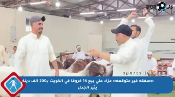 «صفقة غير متوقعة» مزاد على بيع 14 خروفا في الكويت بـ200 ألف دينار يثير الجدل